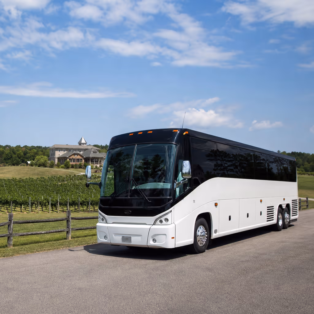 Chesapeake winery tour and pub crawl transportation photo 7